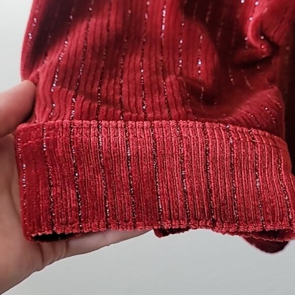 NWT DG2 Diane Velvet Button Up Shirt 2X Red Silver Holiday Glam Long Sleeve - Picture 4 of 14